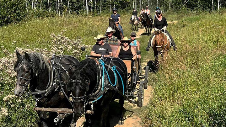 Wagons, Horses and Riders