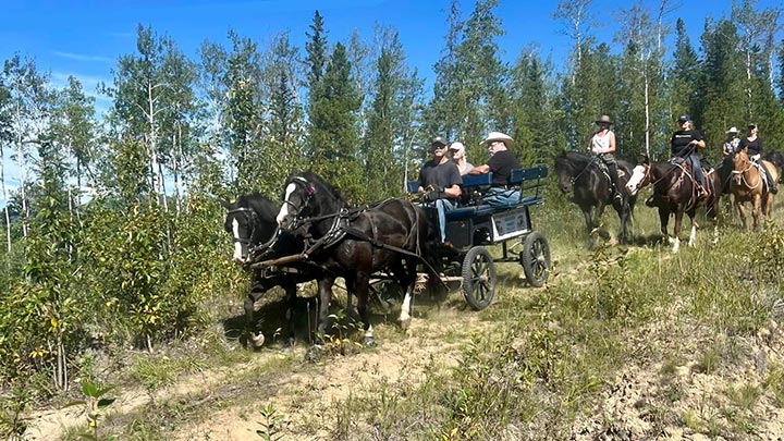 Wagons, Horses and Riders