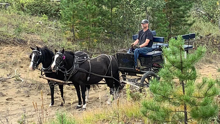 Wagons, Horses and Riders