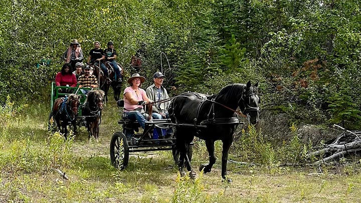 Wagons, Horses and Riders