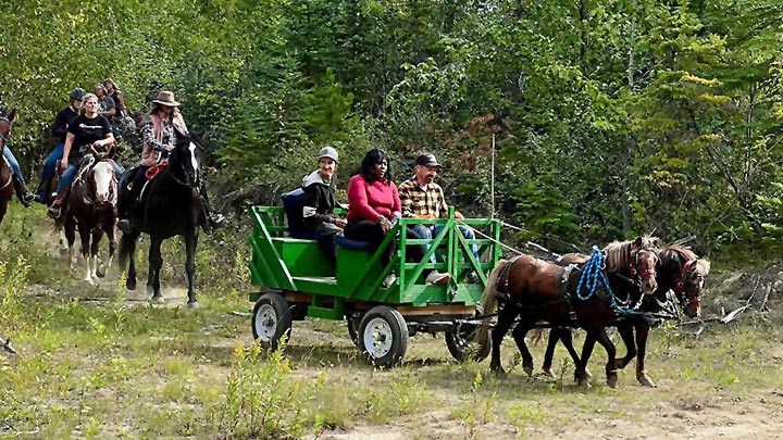 Wagons, Horses and Riders