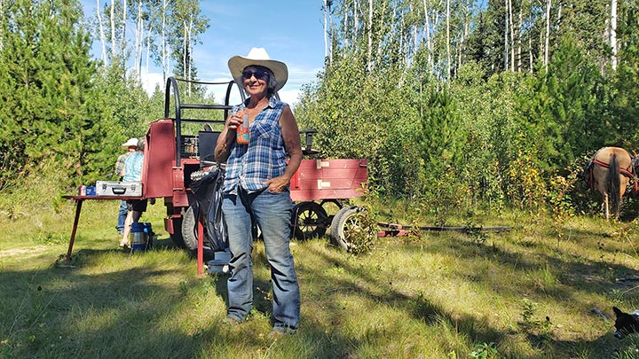 Wagons, Horses and Riders