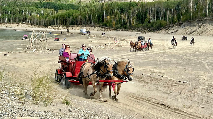 Wagons, Horses and Riders