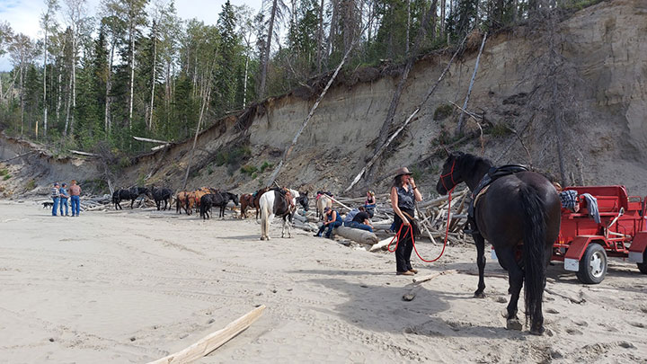 Wagons, Horses and Riders