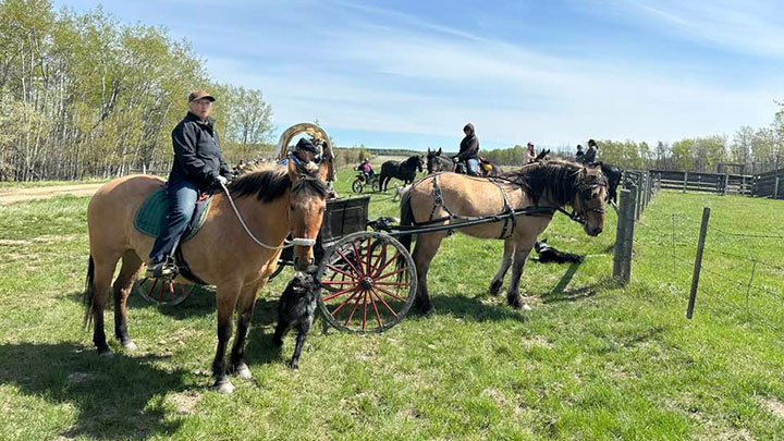 Wagons, Horses and Riders