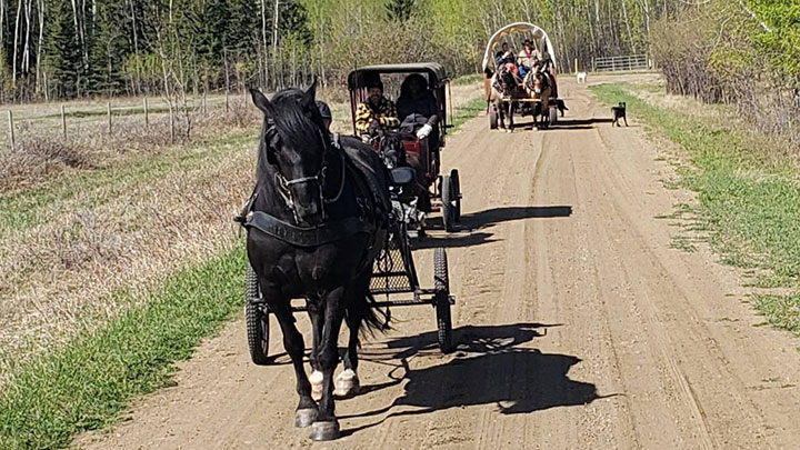 Wagons, Horses and Riders