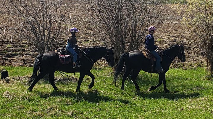 Wagons, Horses and Riders