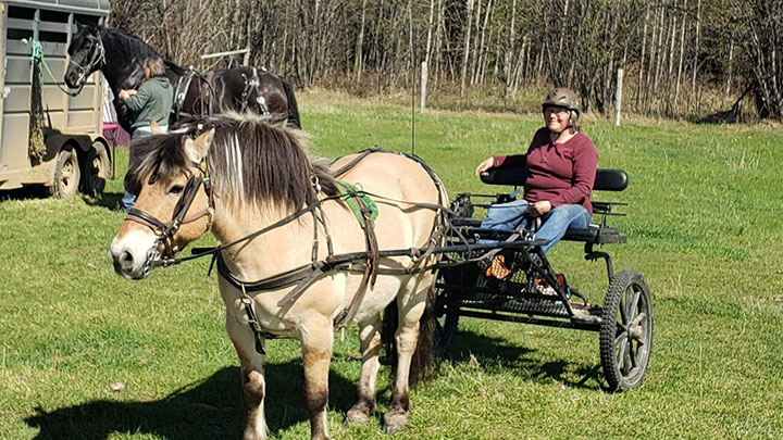 Wagons, Horses and Riders