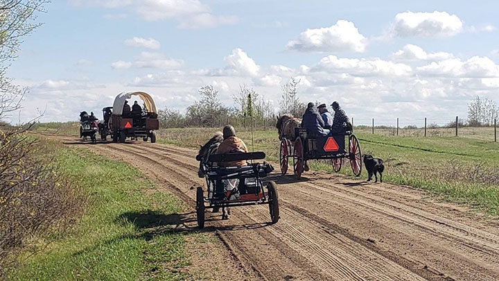 Wagons, Horses and Riders