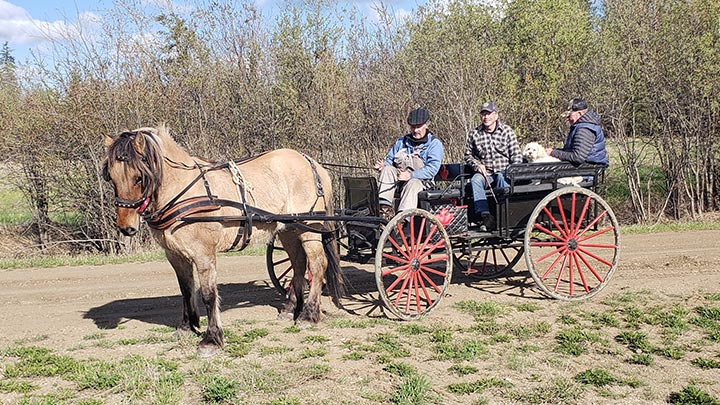 Wagons, Horses and Riders