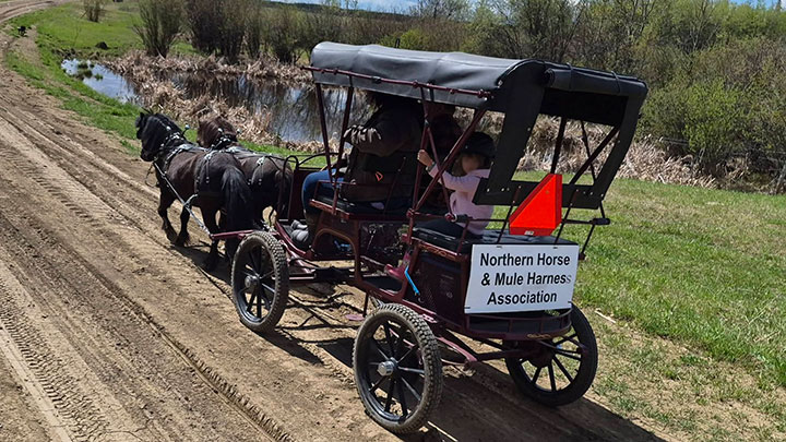 Wagons, Horses and Riders