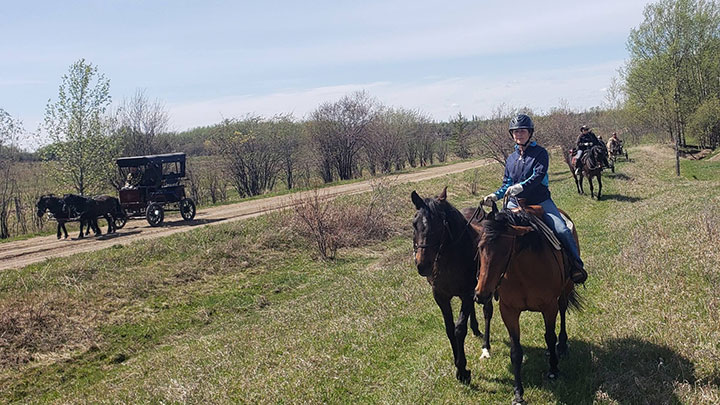 Wagons, Horses and Riders