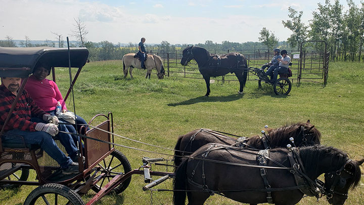 Wagons, Horses and Riders