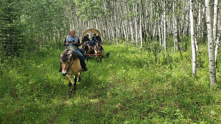 Wagons, Horses and Riders