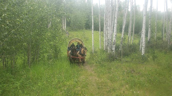 Wagons, Horses and Riders