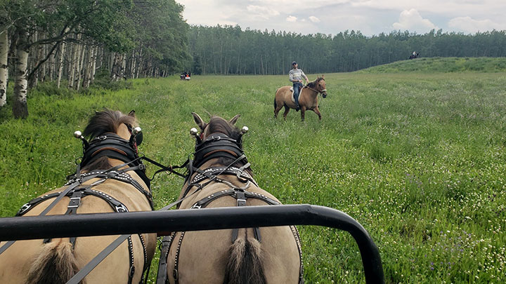 Wagons, Horses and Riders
