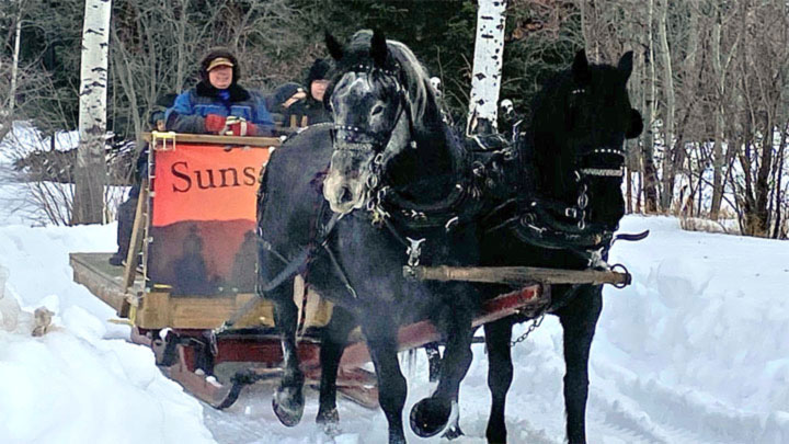 Wagons, Horses and Riders