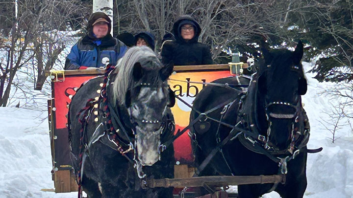 Wagons, Horses and Riders