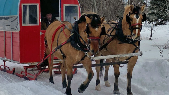 Wagons, Horses and Riders