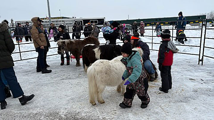 Wagons, Horses and Riders