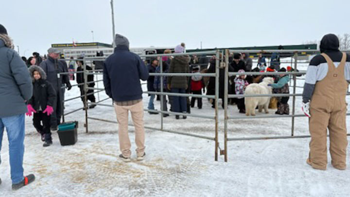 Wagons, Horses and Riders