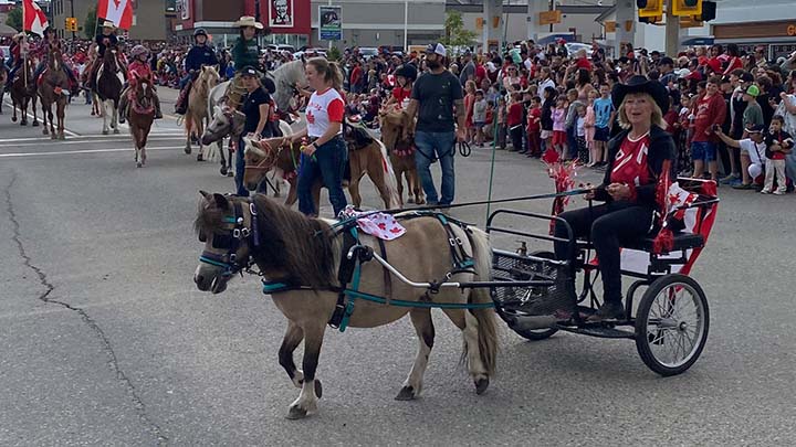 Wagons, Horses and Riders