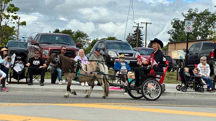 Wagons, Horses and Riders