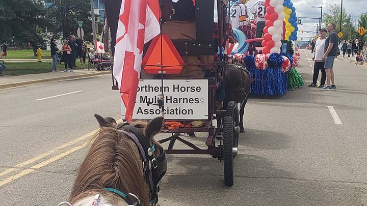 Wagons, Horses and Riders