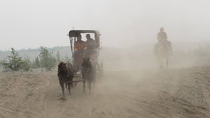 Wagons, Horses and Riders