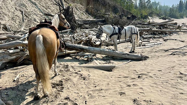 Wagons, Horses and Riders