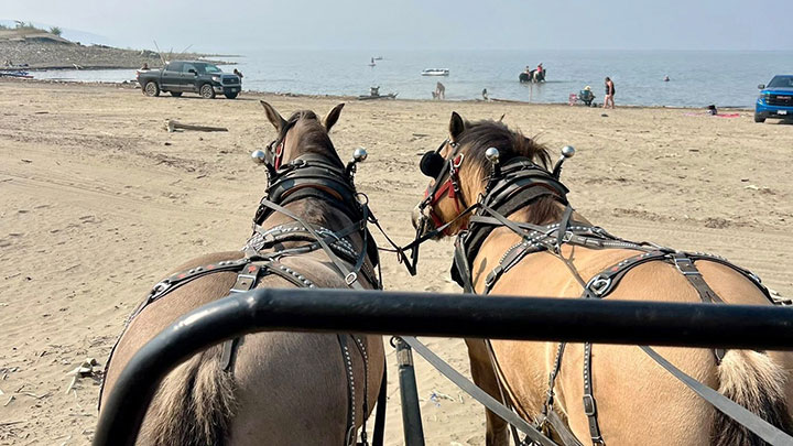 Wagons, Horses and Riders