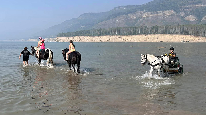 Wagons, Horses and Riders