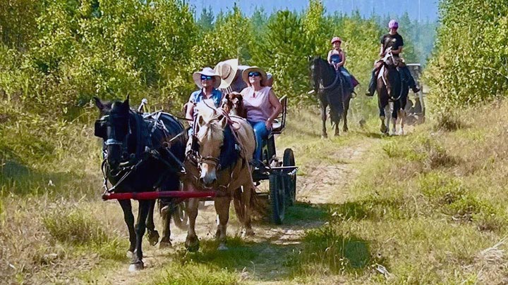 Wagons, Horses and Riders