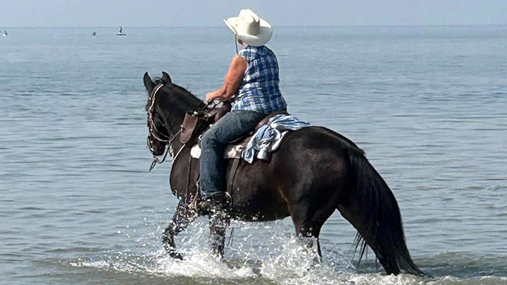 Wagons, Horses and Riders