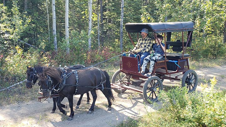 Wagons, Horses and Riders
