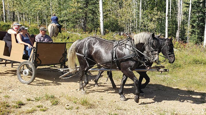 Wagons, Horses and Riders