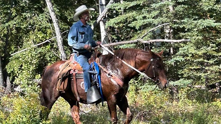 Wagons, Horses and Riders