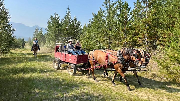 Wagons, Horses and Riders