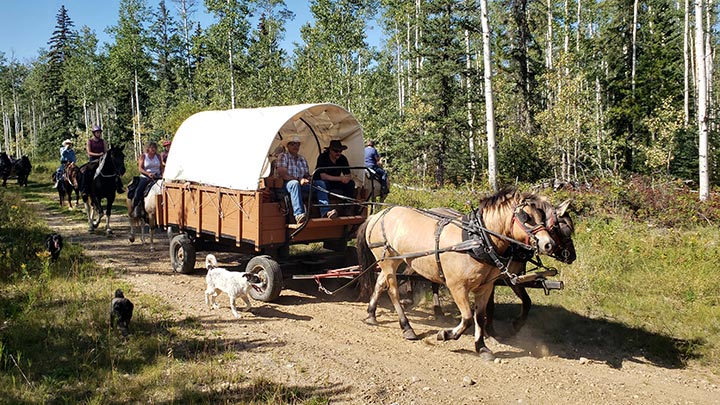 Wagons, Horses and Riders