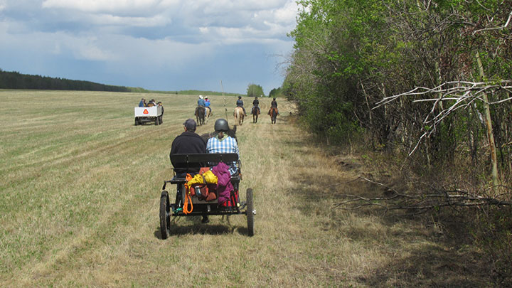 Wagons, Horses and Riders