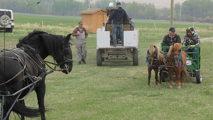 Wagons, Horses and Riders