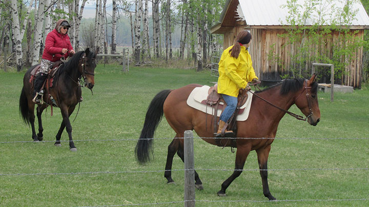 Wagons, Horses and Riders