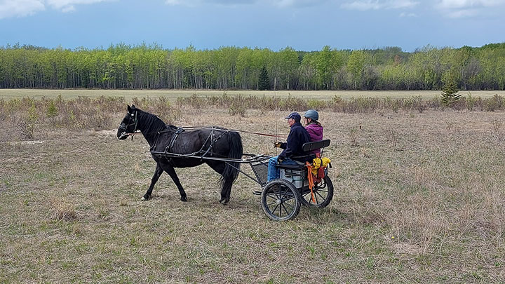 Wagons, Horses and Riders