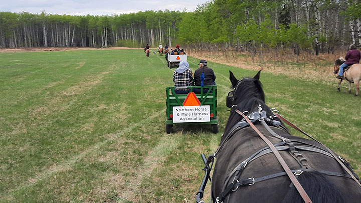 Wagons, Horses and Riders