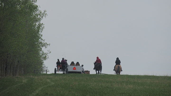 Wagons, Horses and Riders