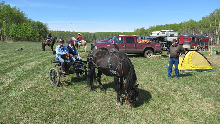 Wagons, Horses and Riders