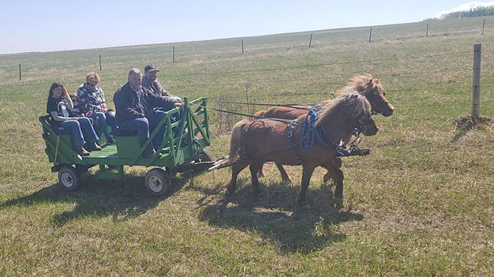 Wagons, Horses and Riders