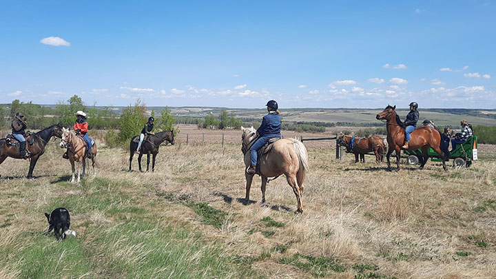 Wagons, Horses and Riders